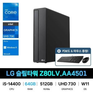LG전자 IT_LG전자 슬림타워 데스크탑 Z80LV.AA4501 RAM 64GB 재고보유