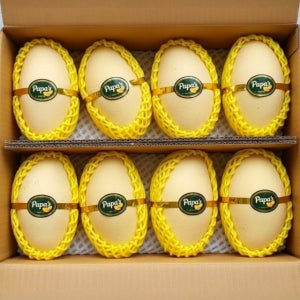 [설맞이 무료배송] 당도 좋은 황금빛 골드망고