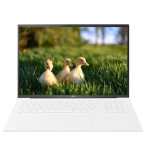 LG전자 그램17 17ZD90S-GX5VK SSD 512GB 교체