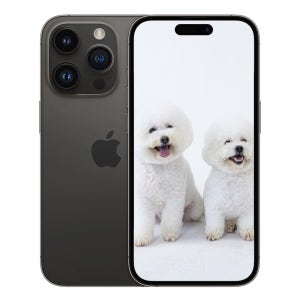 광고 메인 이미지