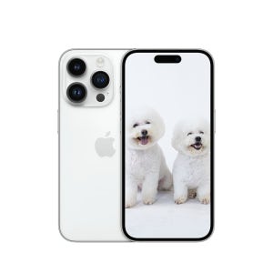 광고 메인 이미지