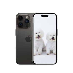 광고 메인 이미지