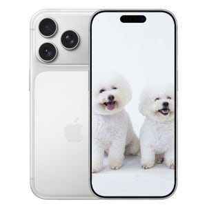 아이폰 17프로맥스 256GB Apple 미개봉 새상품