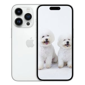 광고 메인 이미지