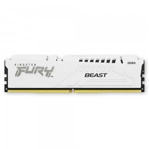 킹스톤 FURY DDR5-6000 CL30 Beast 화이트 코잇 (16GB)