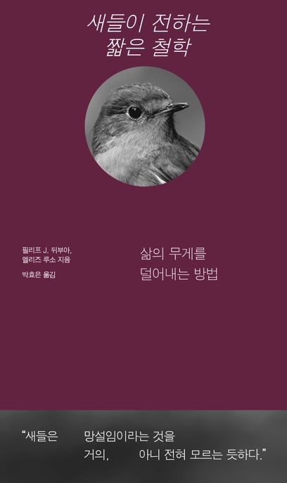 새들이 전하는 짧은 철학 : 삶의 무게를 덜어내는 방법