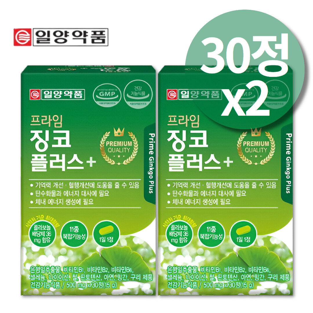 은행잎추출물 <b>은행엽건조엑스</b> 플라보놀배당체 징코빌로바 약2개월분