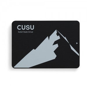 TWSC CUSU C300 (1TB)