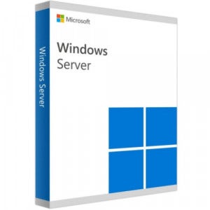 Microsoft Windows Server 2025 Standard 기업용 (5CAL 추가용 DSP 한글)
