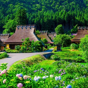 오사카 출발 교토 미야마 합장촌, 아마노하시다테, 이네노후나야 일일 그룹 투어