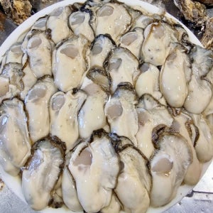 [당일조업] 통영 산지직송 깐 생굴 1kg