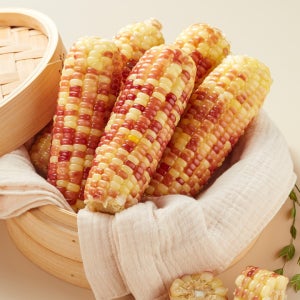 알록달록 홍찰 옥수수 20개