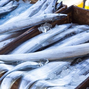 ★3+1팩 증정 체험단 이벤트★ 선도 걱정 없는 제주산 선동 토막 은갈치 (총 12토막)