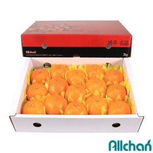 제주 천혜향 선물세트 3kg 5kg 10kg