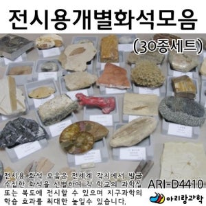 중등 지질학습용 박물관급 화석 30종 세트 과학인재 키트준비물