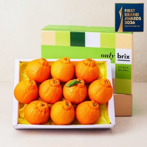 온리브릭스 고당도 한라봉 3kg이상(7-10입/특품)