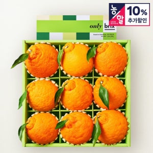 045 압도적인 크기, 온리브릭스 왕한라봉 3.8kg이상(9입/특대과)