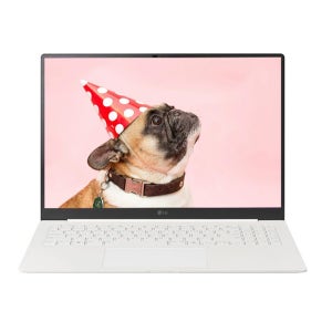 LG전자 2026 그램 프로16 16ZD95U-GX56K 512GB 교체