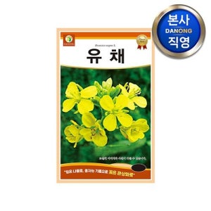 다농 유채꽃 씨앗 20kg . 노란색 야생화 관상용 꽃 씨 종자 노지 월동 텃밭 파종.