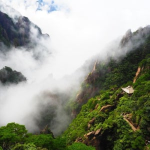 [대구출발] 황산 가족여행 기암괴석 절경 황산/상해 4박5일