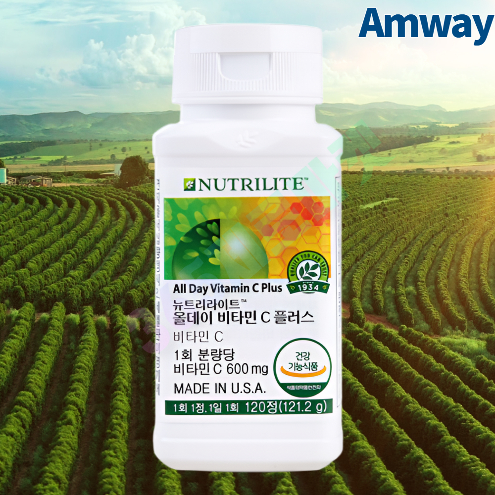 암웨이 올데이 비타민 C 플러스 120정, 1개