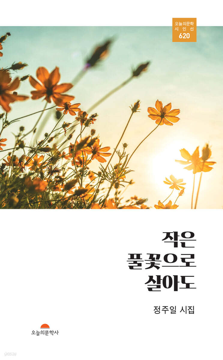 작은풀꽃으로살아도