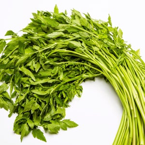 전남 순천 미나리 1kg