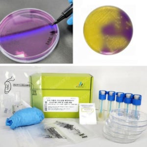 5인용 미생물 유산균 배지만들기 도말법 과학실험교구