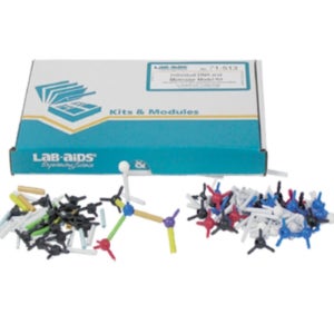 학생용 재사용 DNA모형만들기 과학교구 사이언스키트