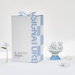 블랑101 미니 캡슐세제 향기부스터 50개입