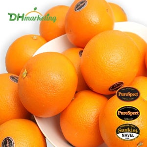 블랙라벨 고당도 오렌지 대과 72과 17kg