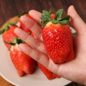 한 손 가득 큰 사이즈만 선별한 킹스베리 딸기 400g(8-9과) 1팩