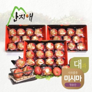산지애 블랙라벨 더초이스 사과 9kg (3kg*3박스) / 청송사과 미시마 TV상품