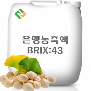 원액 음료용 20kg 은행농축액