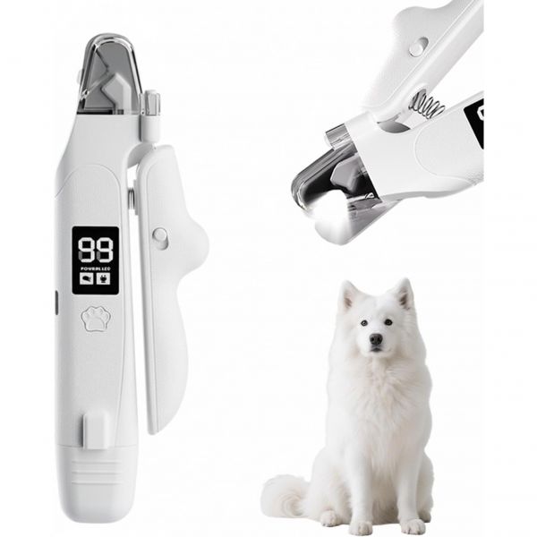 사모예드 (Samoyed)