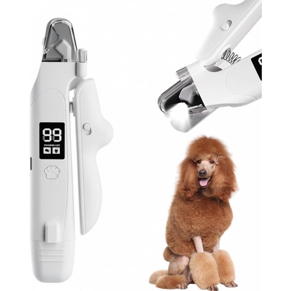 Standard Poodle (스탠다드 푸들)