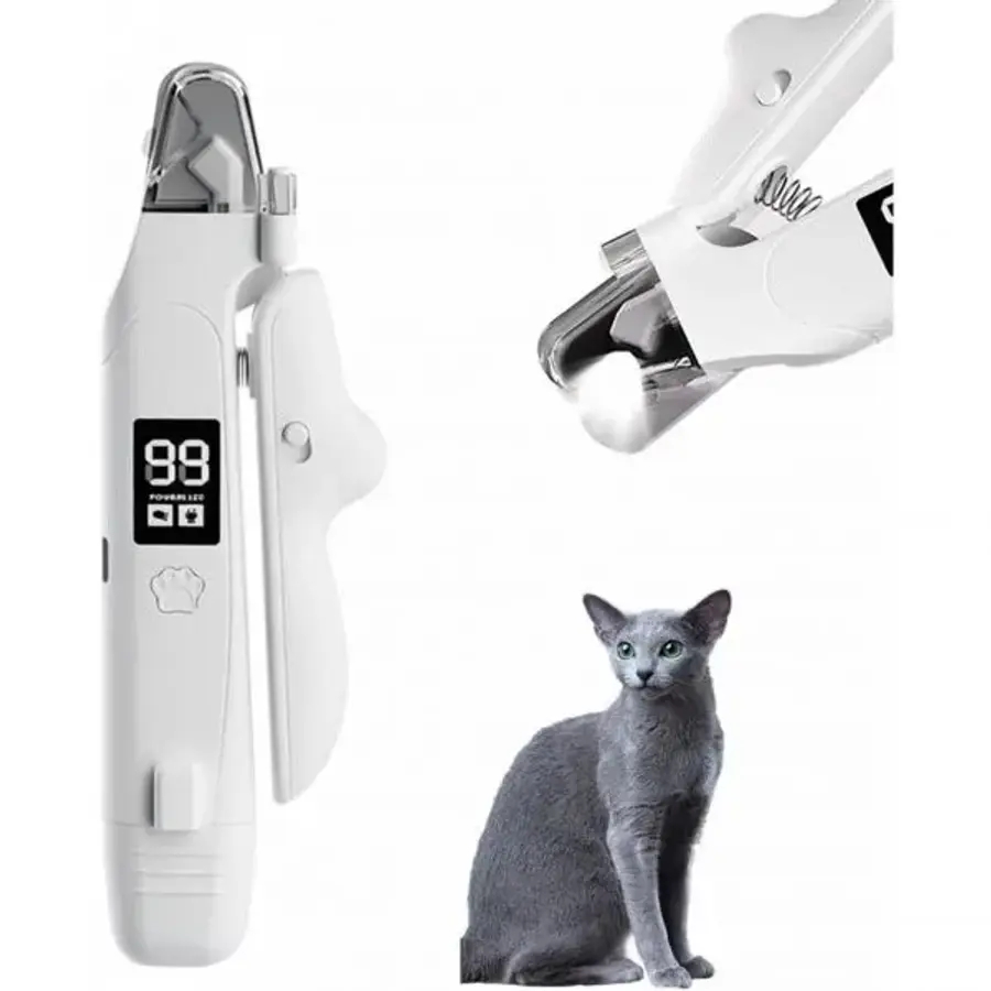 Russian Blue (러시안 블루)