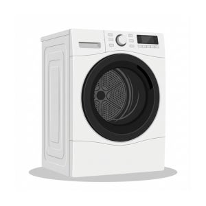 삼성전자 삼성 AI 건조기 21kg 화이트 DV21DG8600BW