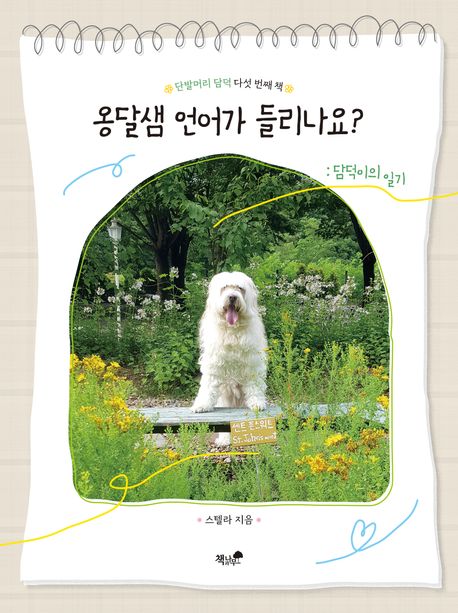 옹달샘 언어가 들리나요?  : 담덕이의 일기