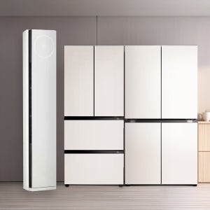 LG 디오스 오브제컬렉션 매직스페이스 냉장고 + LG 디오스 김치톡톡 + LG휘센 오브제컬렉션 타워II 에어컨 2in1 (T875MEE111 + Z408MEEF23 + FQ17ET