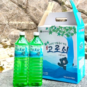 [지리산 채취] 지금만 먹을 수 있는 2026년 햇 고로쇠수액