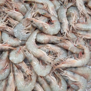 압도적인 고소함 자연산 태안 대하 1kg