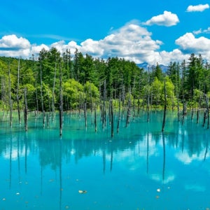 하코다테 오호츠크빙하크루즈 북해도 여유일정 4일 시내중심호텔 부모님 동반