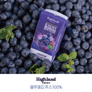 하이랜드 프레쉬 100% 블루베리 착즙 주스 48팩 120mL TV상품