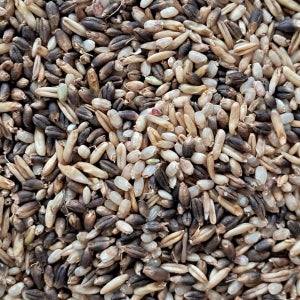 [수산복해] 무농약 발아혼합쌀650g, 3개