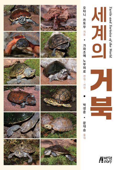 세계의 거북