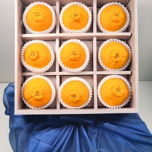 향과 당도가 살아있어 한 입 베어 물면 입안 가득 퍼지는 한라봉 선물세트 3kg(9입)