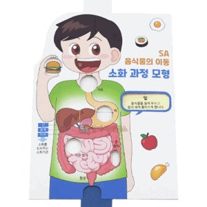 SA 음식물의 이동 소화 과정 모형(1인용 포장)