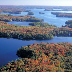 [블루버드여행사] 단풍길 5박6일
