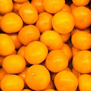 [온누리상품] 때깔찬 제철과일 제주 귤 고당도 5kg (크기랜덤과) 실속형